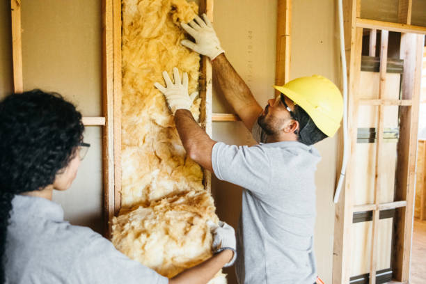 Best Insulation Inspection Services  in Mount Hermon, CA