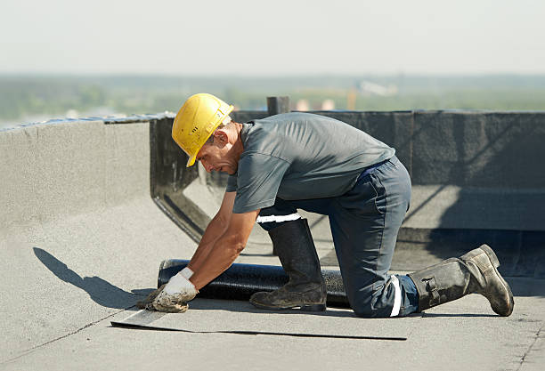 Best Cellulose Insulation  in Mount Hermon, CA